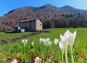 MONTE SUCHELLO (1541 m) da Costa Serina -19 marzo 2026